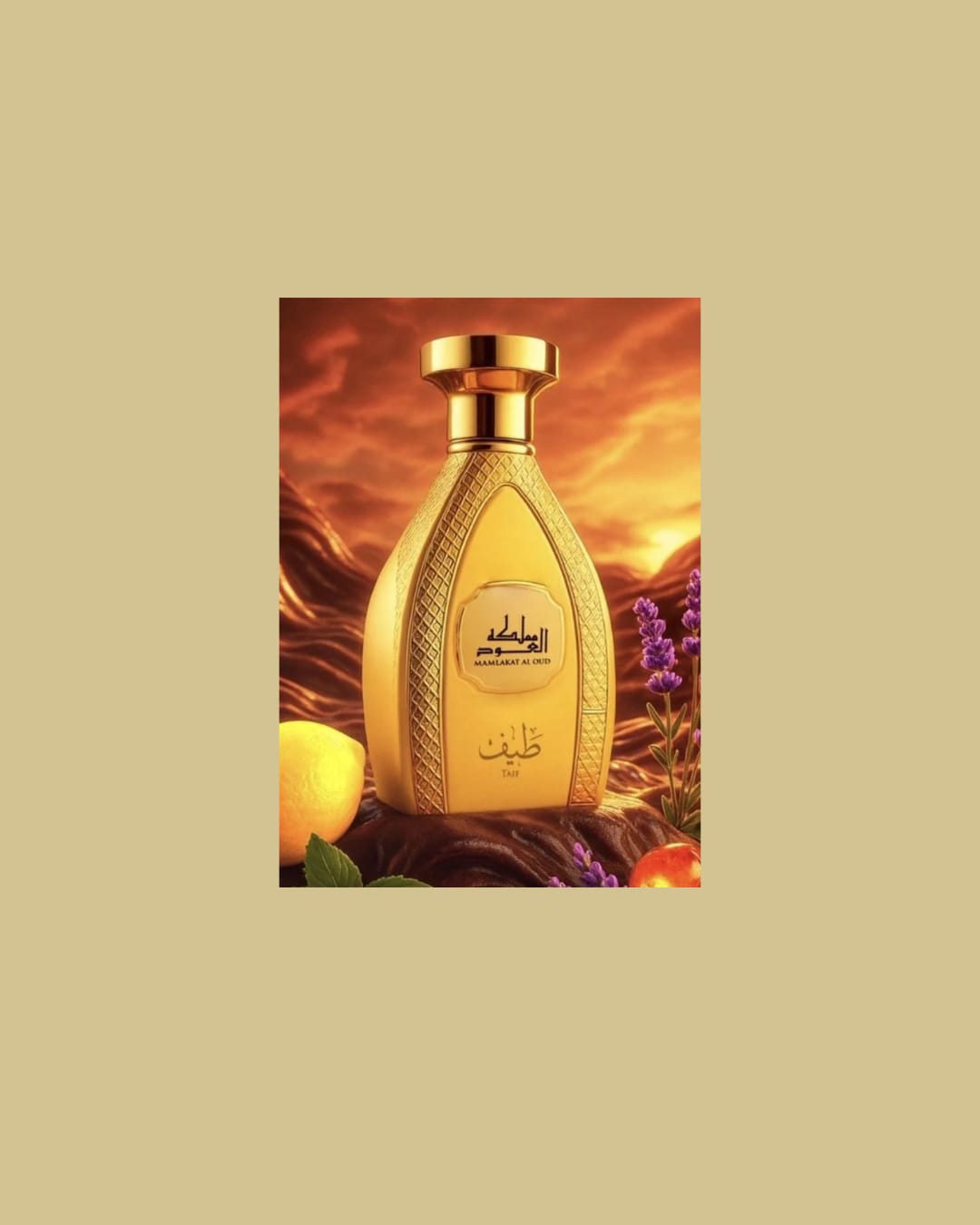 Mamlakat al Oud Taif Eau de Parfum 100ml